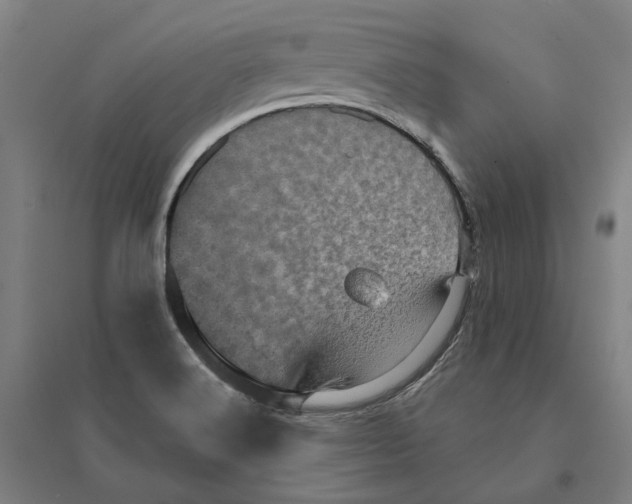 X0000095111516200712301724