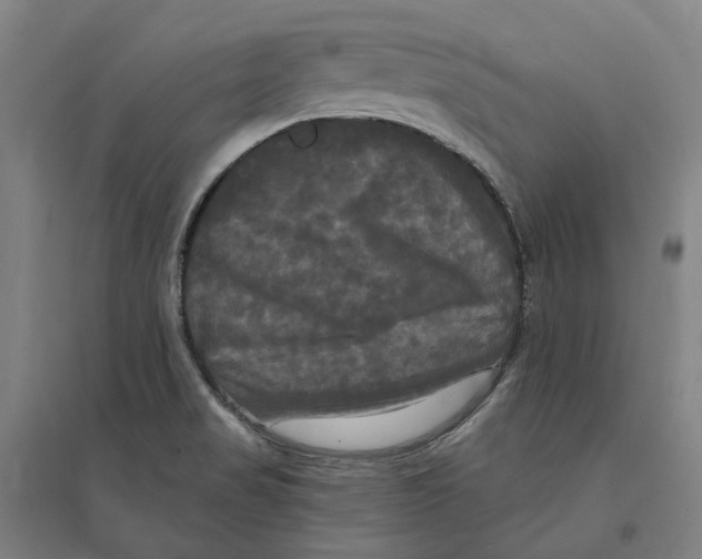 X0000095111517200712301724