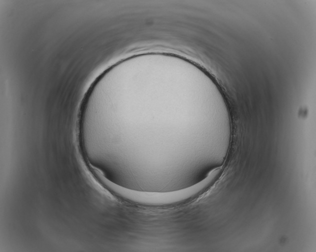 X0000095111518200712301724