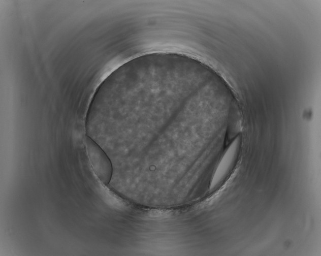 X0000095111521200712301724