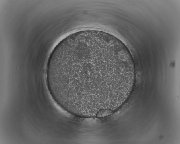 X0000095111523200712301724