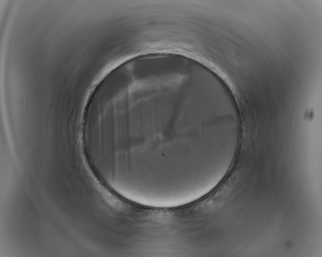 X0000095111525200712301724