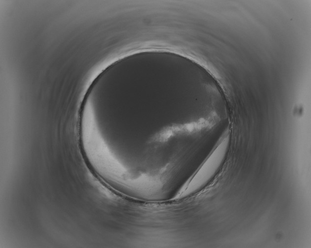 X0000095111527200712301724