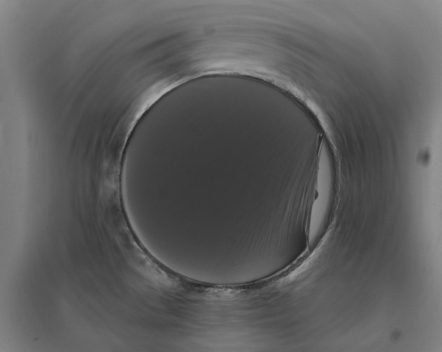 X0000095111529200712301724