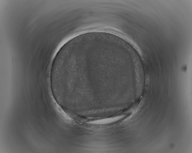 X0000095111530200712301724