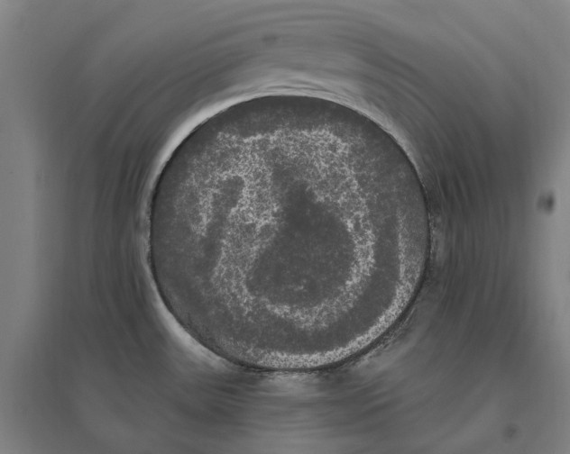 X0000095111531200712301724