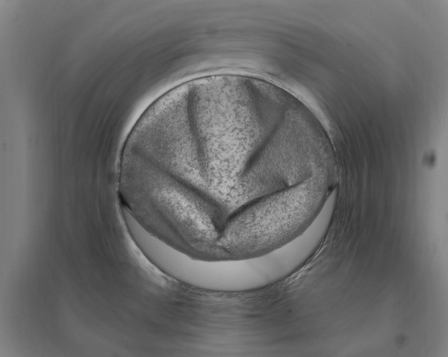 X0000095111532200712301724