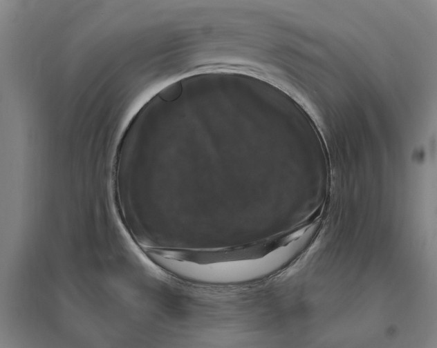 X0000095111533200712301724