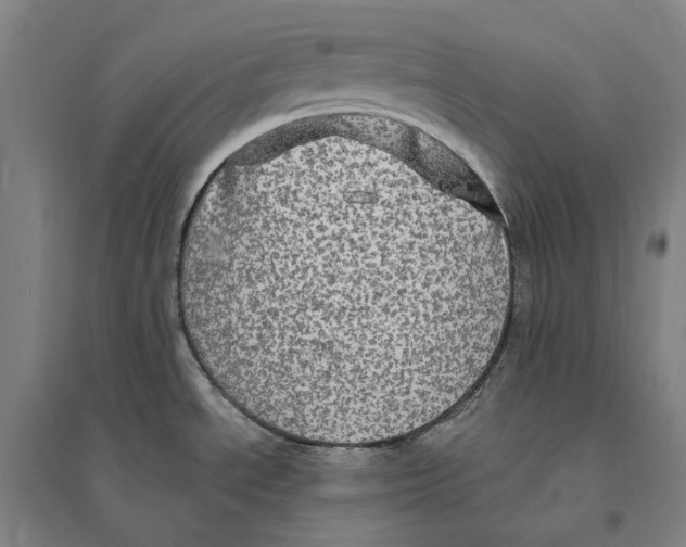 X0000095111534200712301724