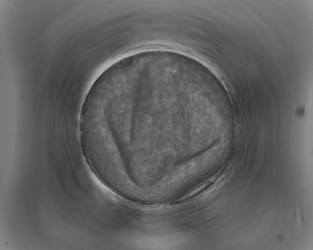 X0000095111535200712301724