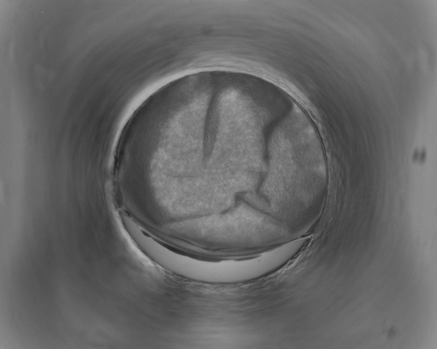 X0000095111536200712301724