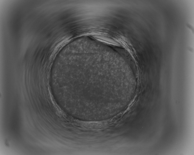 X0000095110001200801041211