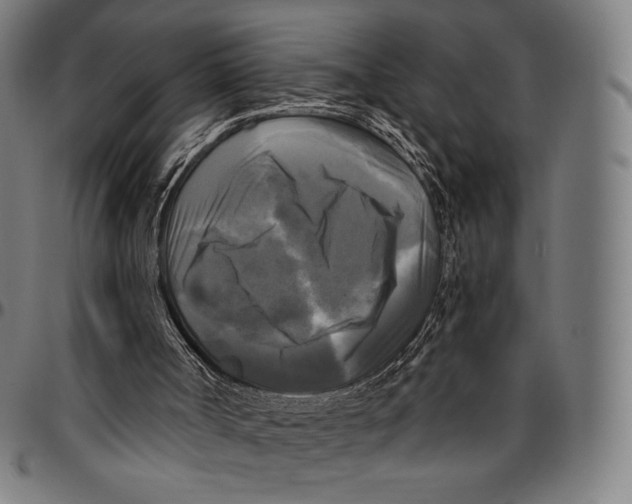 X0000095110002200801041211