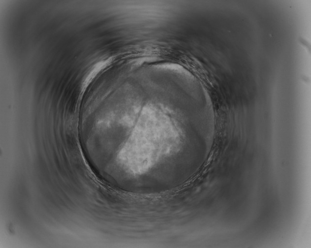 X0000095110003200801041211