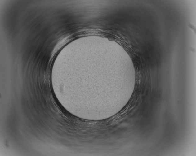 X0000095110004200801041211
