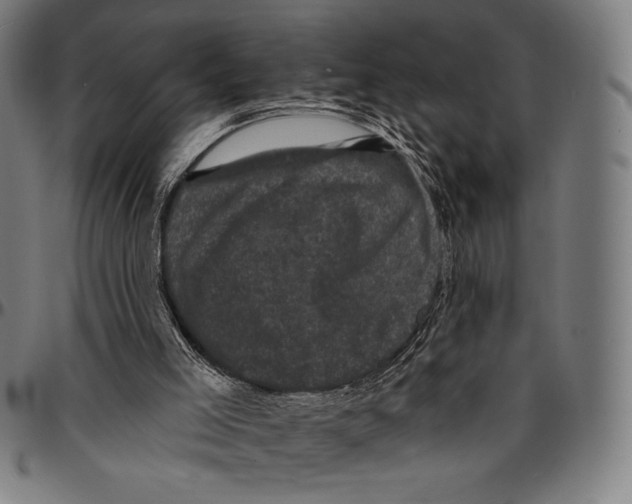 X0000095110005200801041211