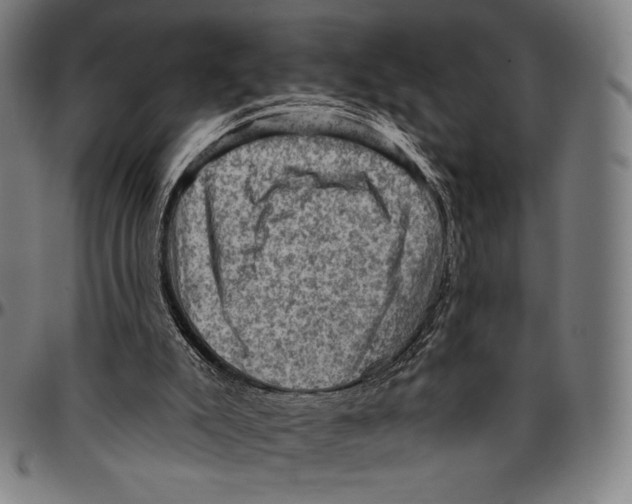 X0000095110007200801041211