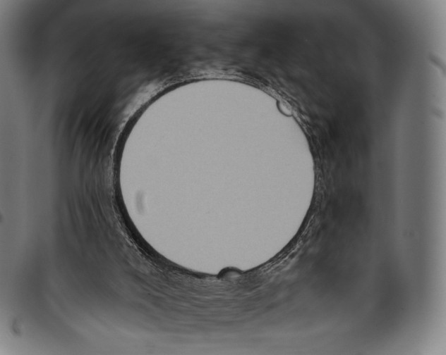 X0000095110008200801041211