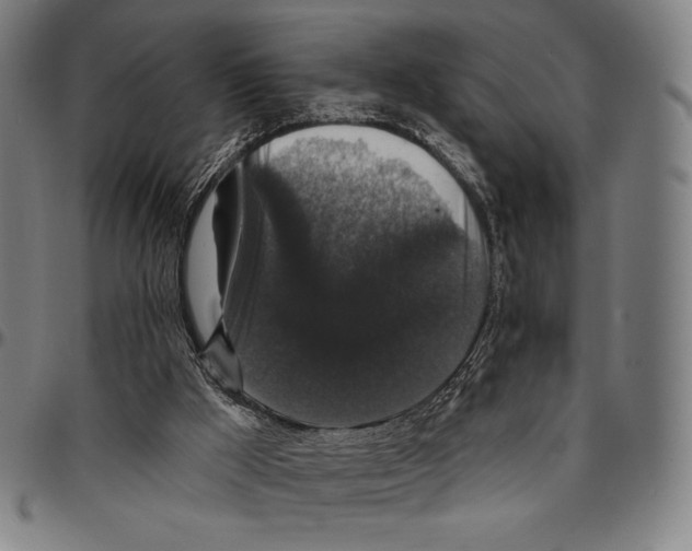 X0000095110009200801041211