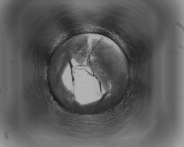 X0000095110010200801041211