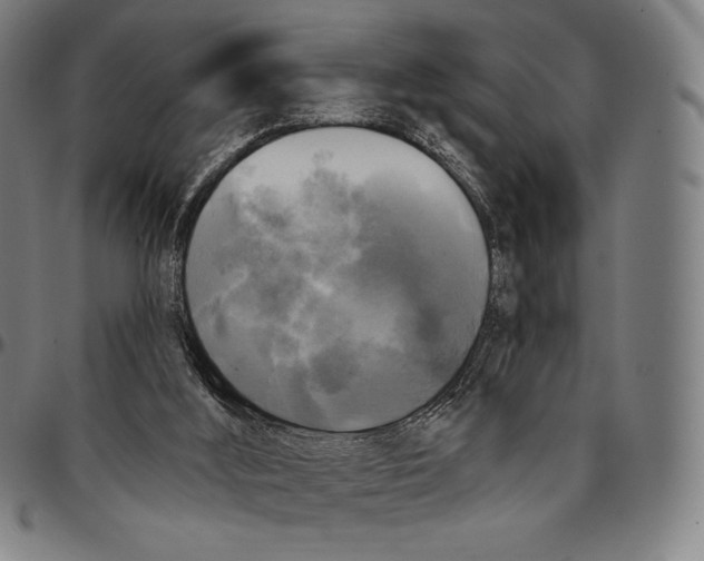 X0000095110012200801041211