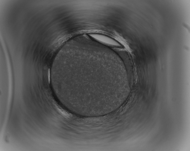 X0000095110013200801041211