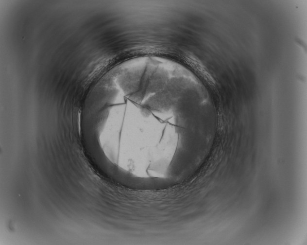 X0000095110014200801041211