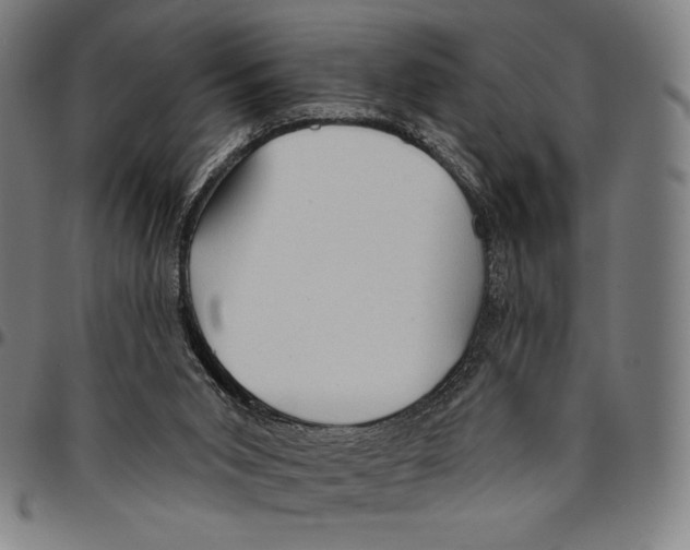 X0000095110015200801041211