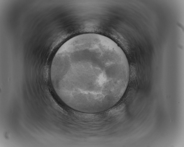X0000095110016200801041211