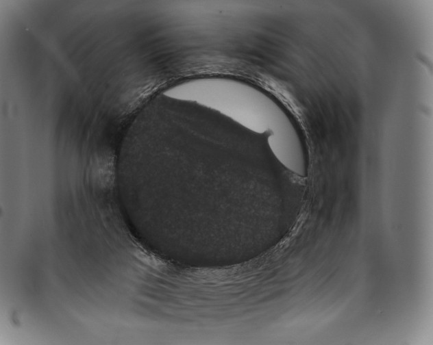 X0000095110017200801041211