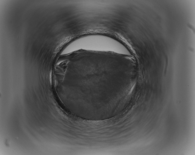X0000095110019200801041211
