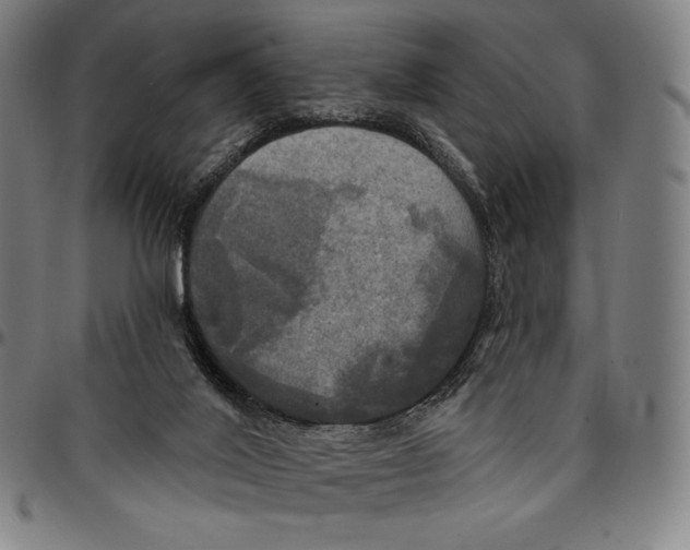 X0000095110020200801041211