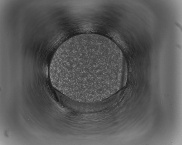 X0000095110021200801041211