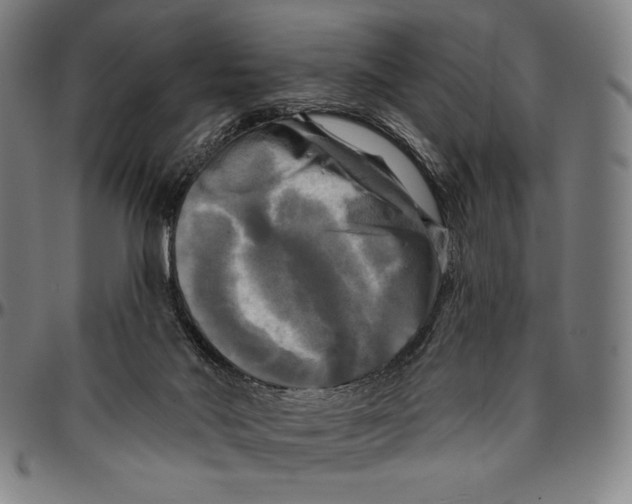 X0000095110022200801041211