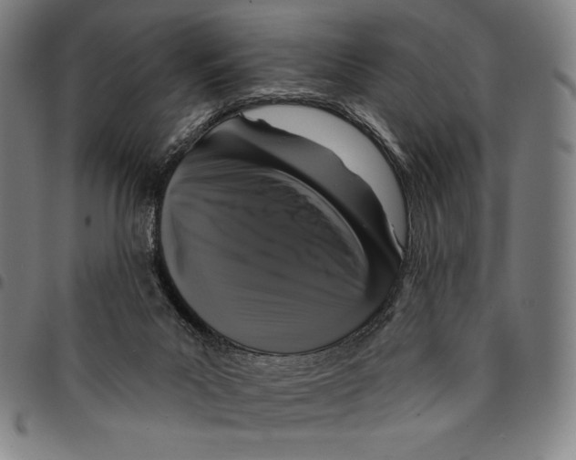 X0000095110023200801041211