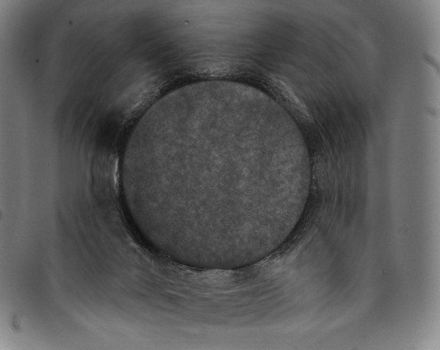 X0000095110024200801041211