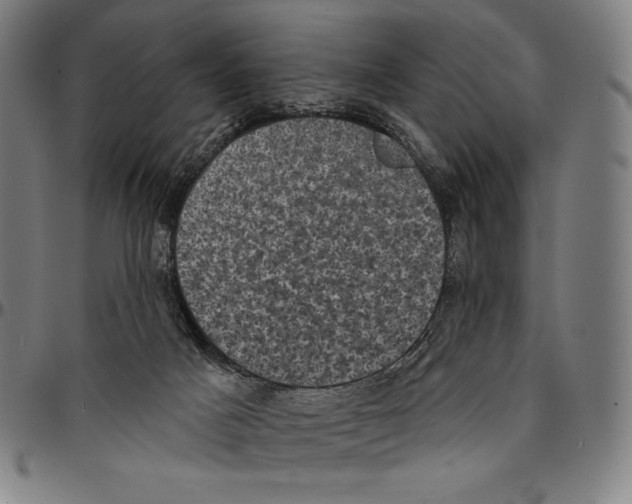 X0000095110025200801041211