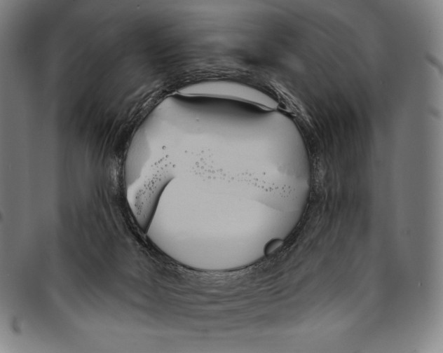 X0000095110026200801041211