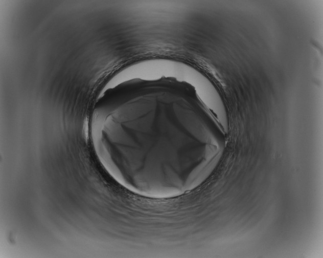 X0000095110027200801041211