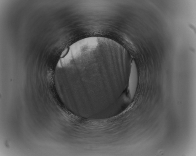 X0000095110029200801041211