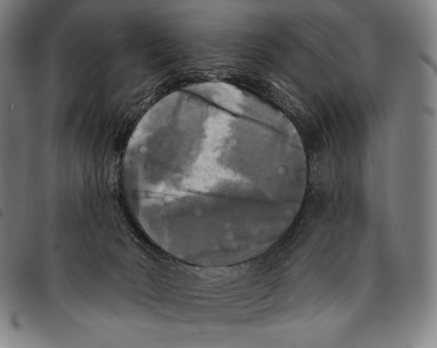 X0000095110030200801041211