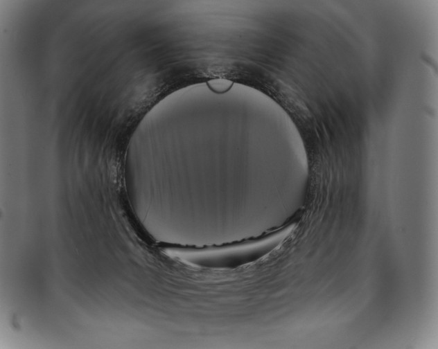 X0000095110031200801041211