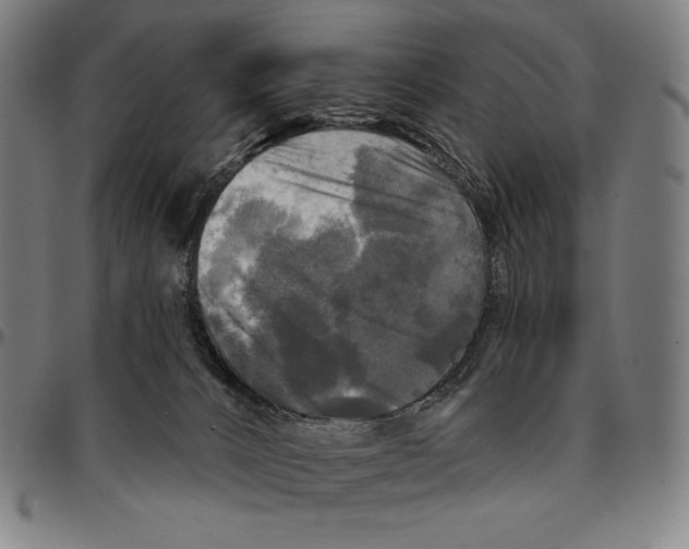 X0000095110032200801041211