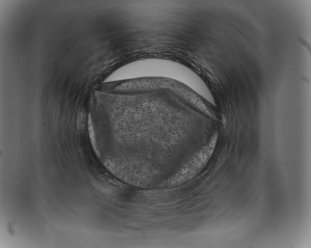 X0000095110033200801041211