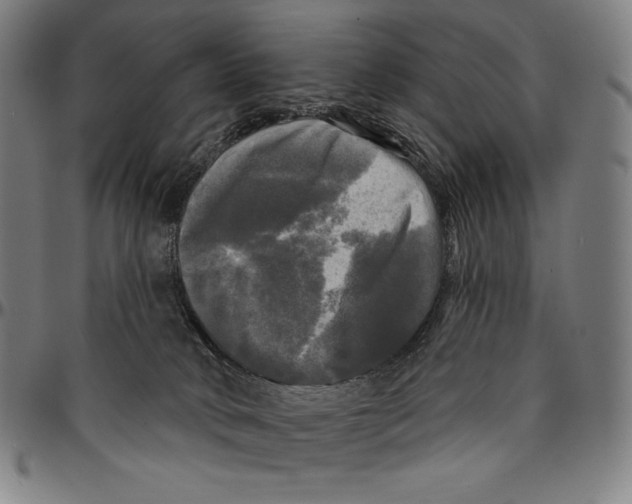 X0000095110034200801041211