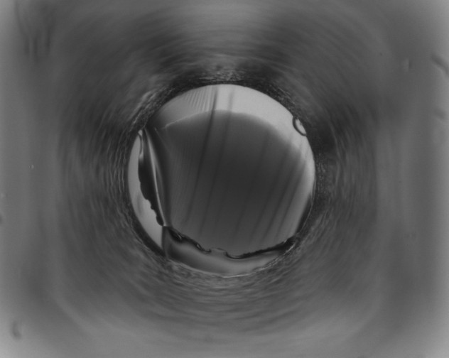 X0000095110035200801041211