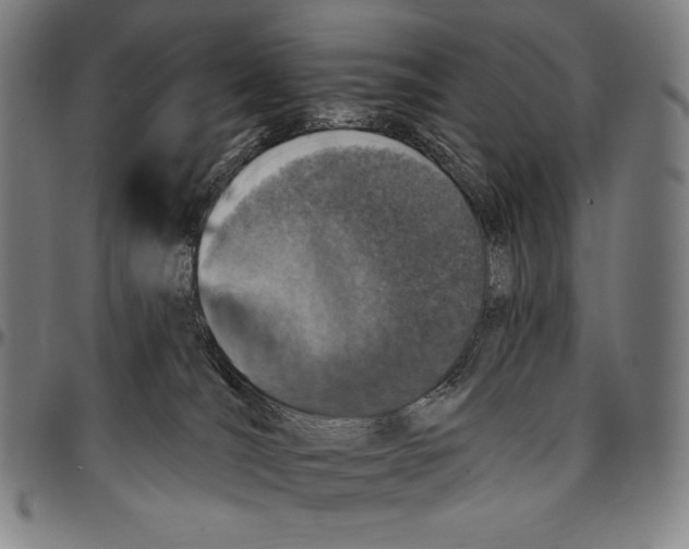 X0000095110036200801041211