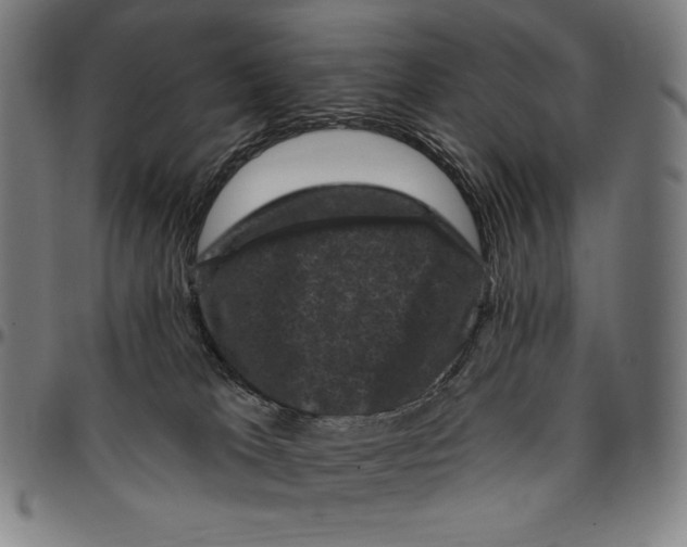 X0000095110037200801041211