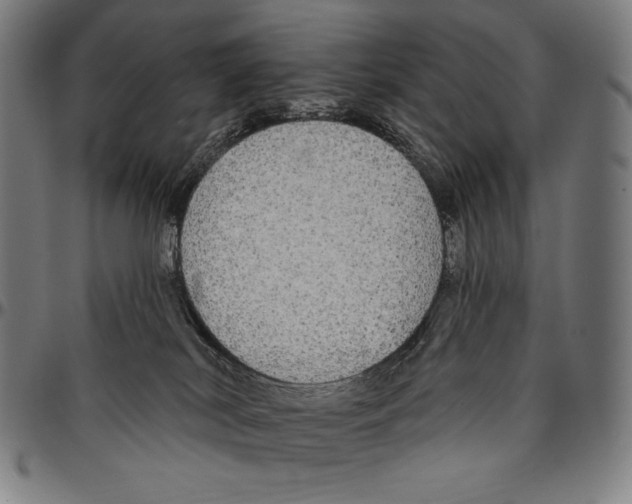 X0000095110038200801041211