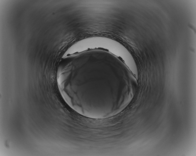 X0000095110039200801041211